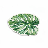 Philodendron Leaf